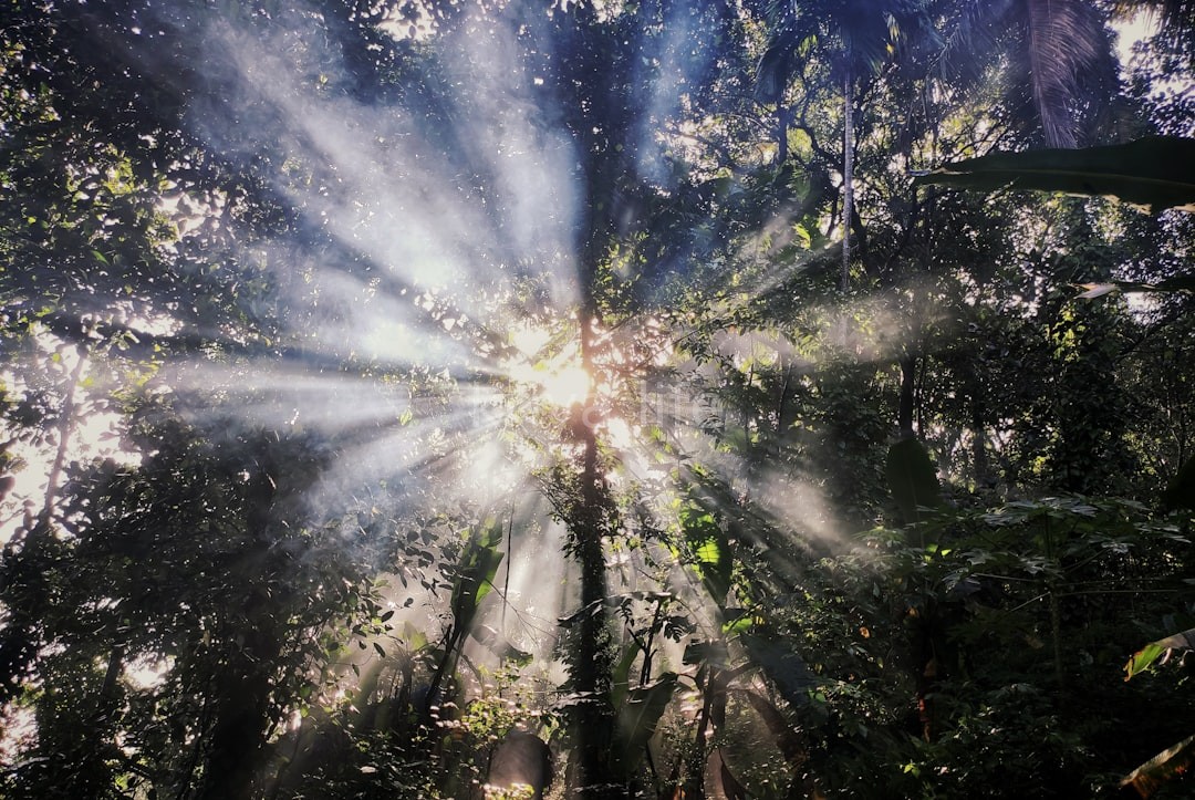 Breathwork