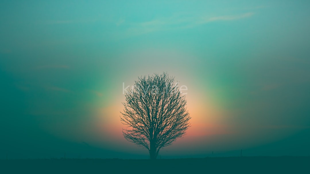 Meditation